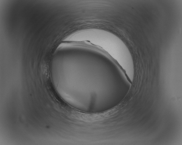 X0000082140031200702092137