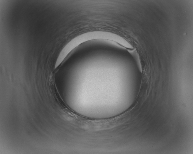 X0000082140033200702092137