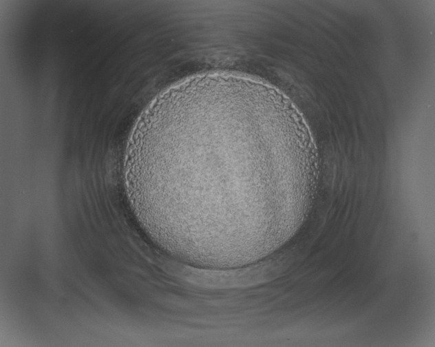 X0000082140034200702092137