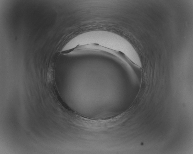 X0000082140035200702092137