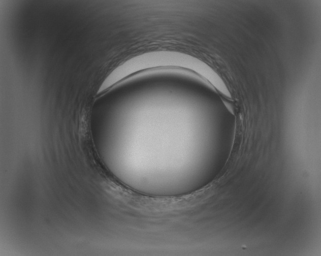 X0000082140037200702092137