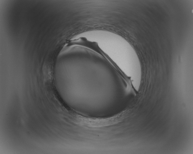 X0000082140039200702092136