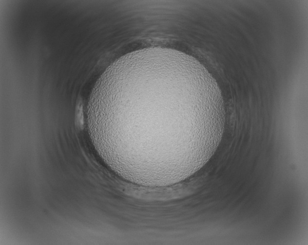 X0000082140042200702092136