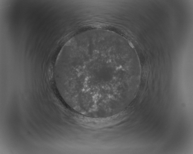 X0000082140043200702092136