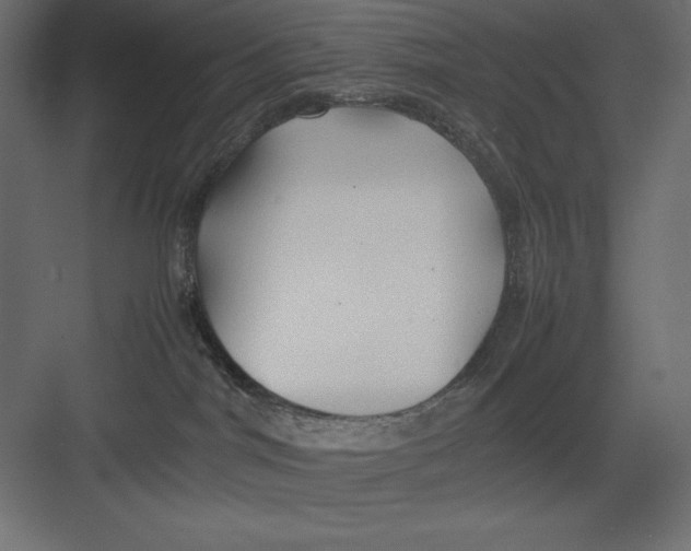 X0000082140044200702092136