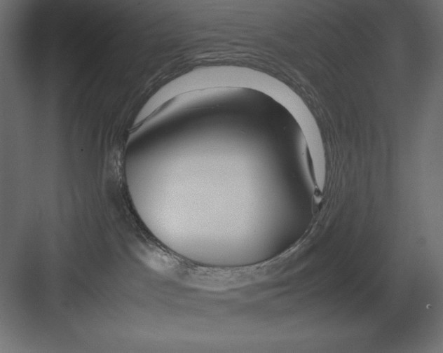 X0000082140045200702092136