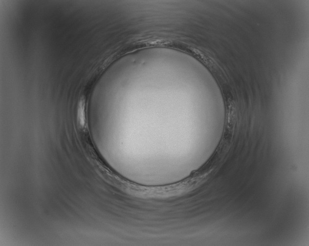 X0000082140046200702092136