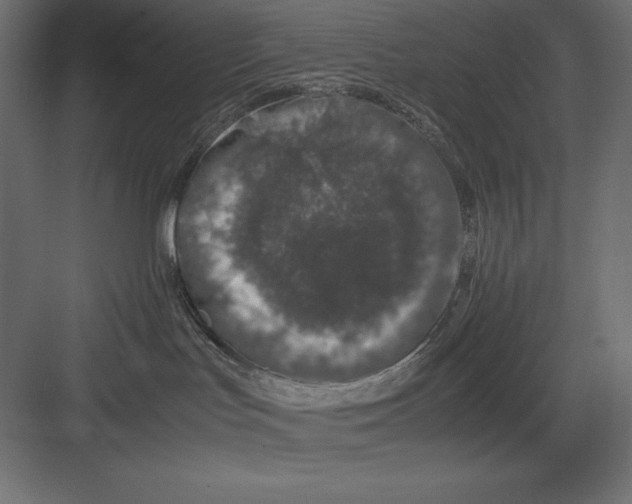 X0000082140047200702092136