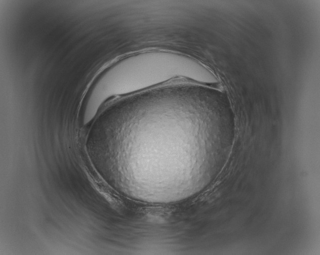 X0000082140050200702092136