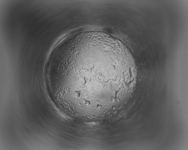 X0000082140053200702092136