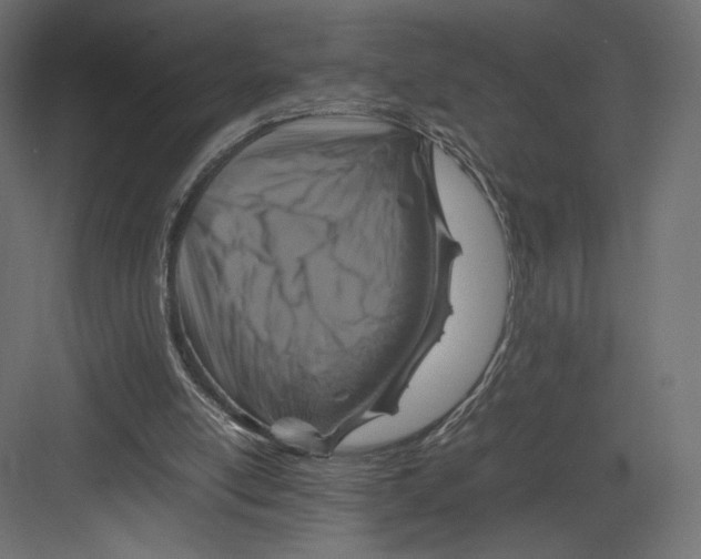 X0000082140054200702092136