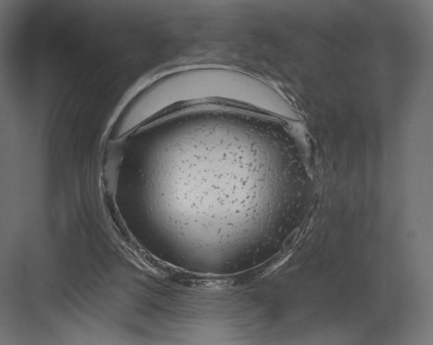 X0000082140056200702092136