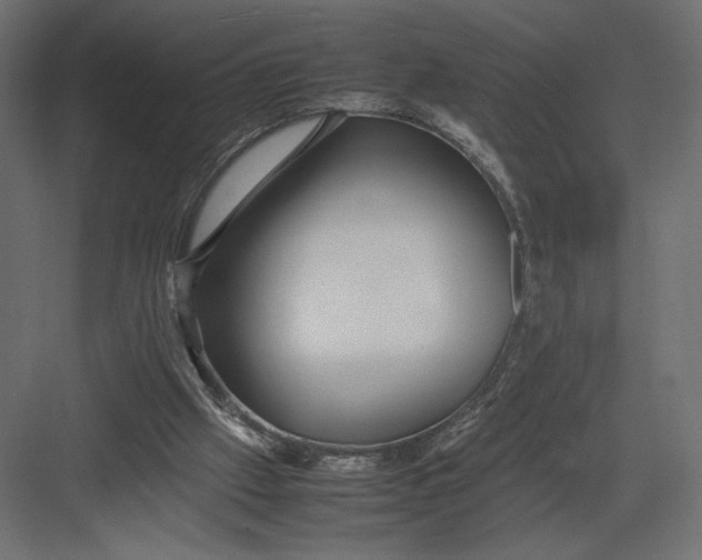 X0000082140057200702092136