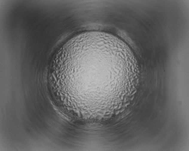 X0000082140058200702092136