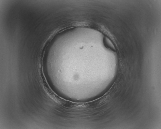 X0000082140059200702092136