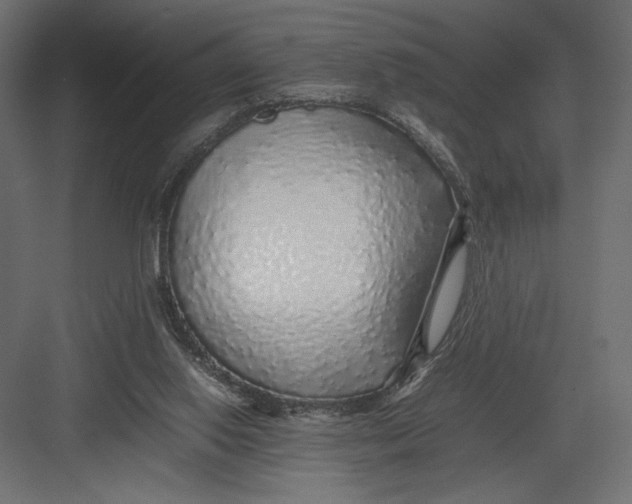 X0000082140062200702092136