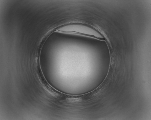 X0000082140063200702092136