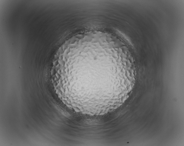 X0000082140065200702092136