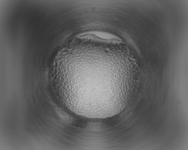 X0000082140066200702092136