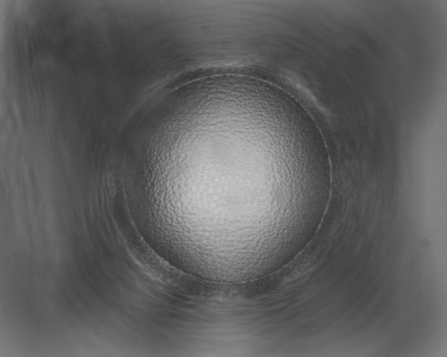 X0000082140068200702092136