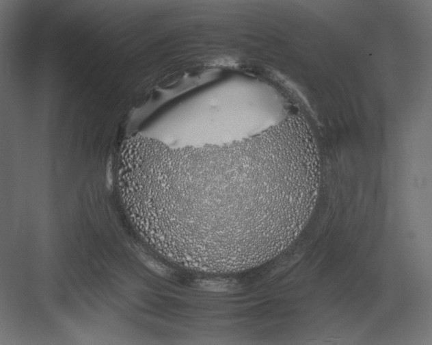 X0000082140069200702092136