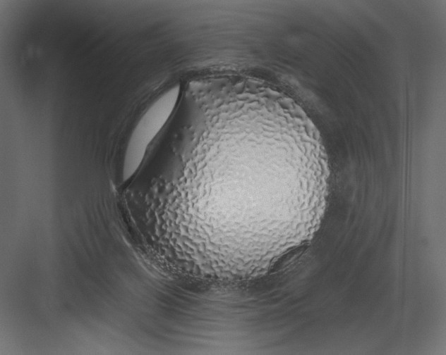 X0000082140070200702092136