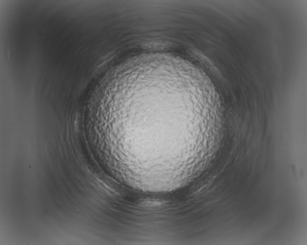 X0000082140071200702092136