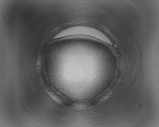 X0000082140072200702092136