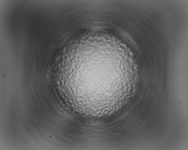 X0000082140073200702092136