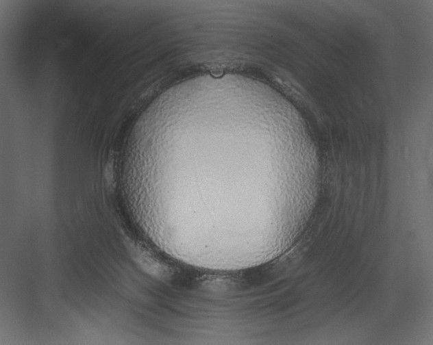 X0000082140074200702092136