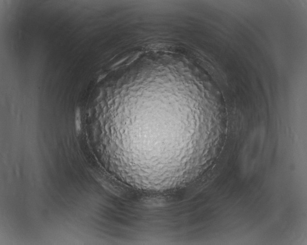 X0000082140075200702092136