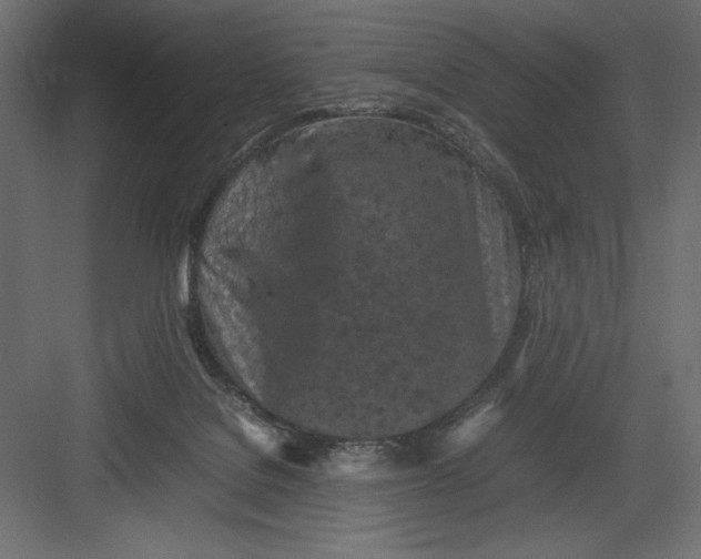 X0000082140076200702092136