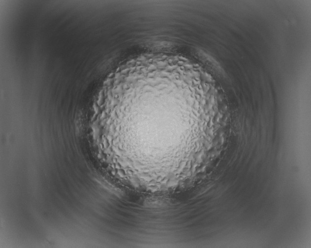 X0000082140077200702092136