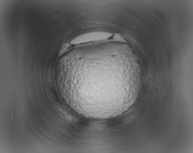 X0000082140078200702092136