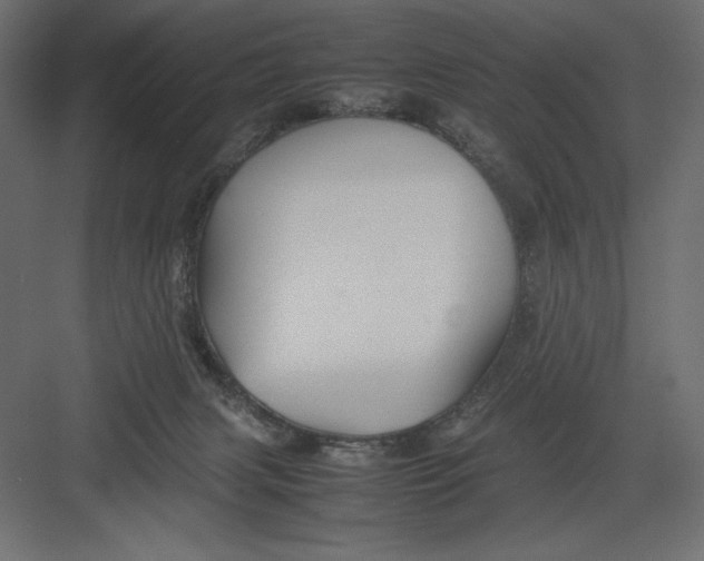 X0000082140079200702092136