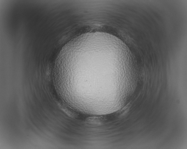 X0000082140082200702092136