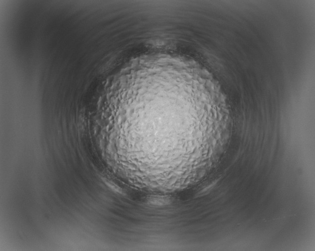 X0000082140085200702092136