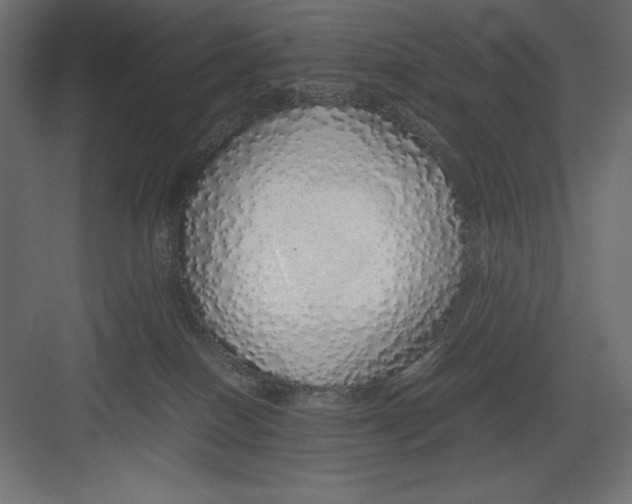 X0000082140086200702092136