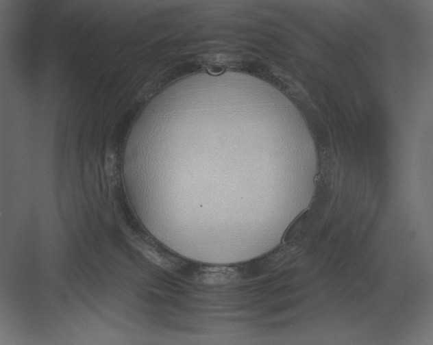 X0000082140087200702092136