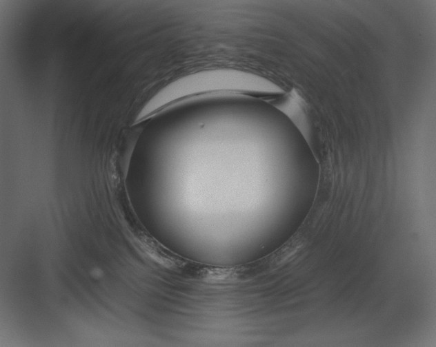 X0000082140088200702092136