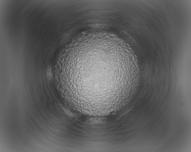 X0000082140089200702092136