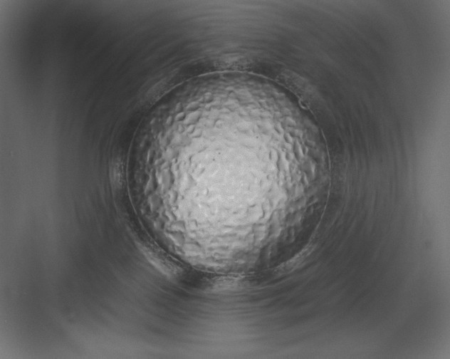 X0000082140090200702092136