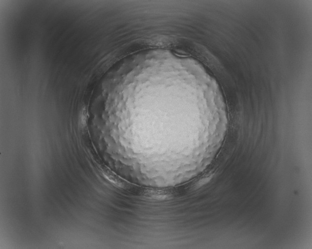 X0000082140095200702092136