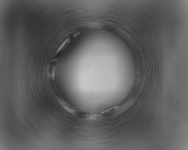 X0000082140096200702092136