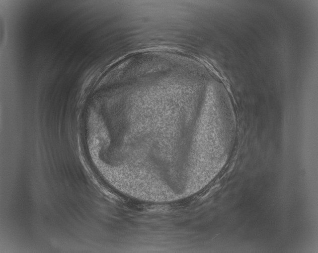 X0000082140097200702092136