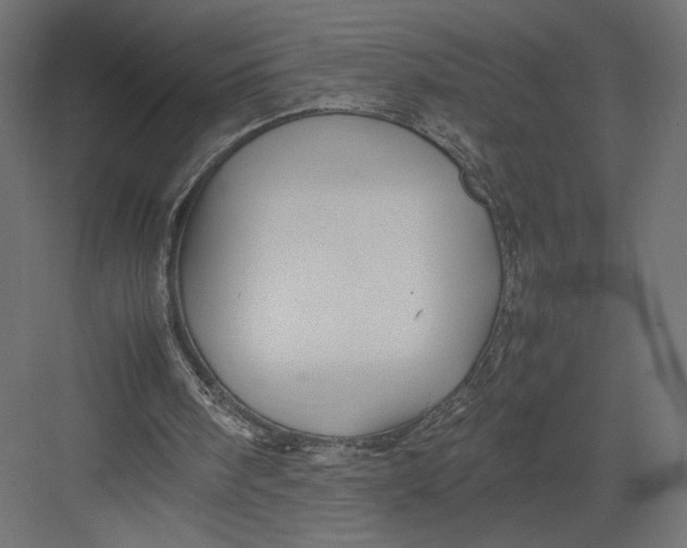 X0000082140098200702092135