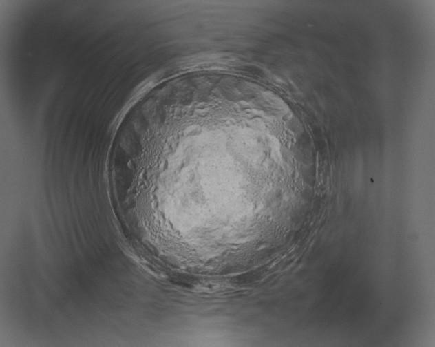 X0000082140099200702092135