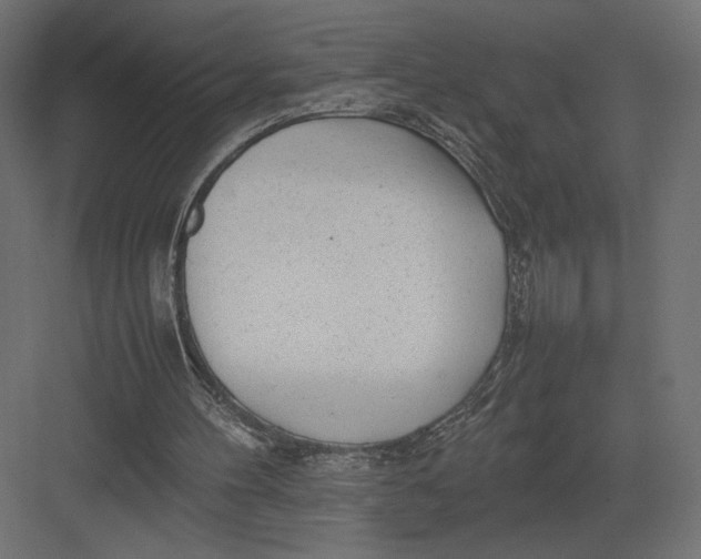 X0000082140100200702092135