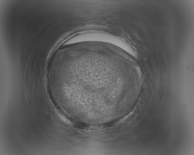 X0000082140101200702092135