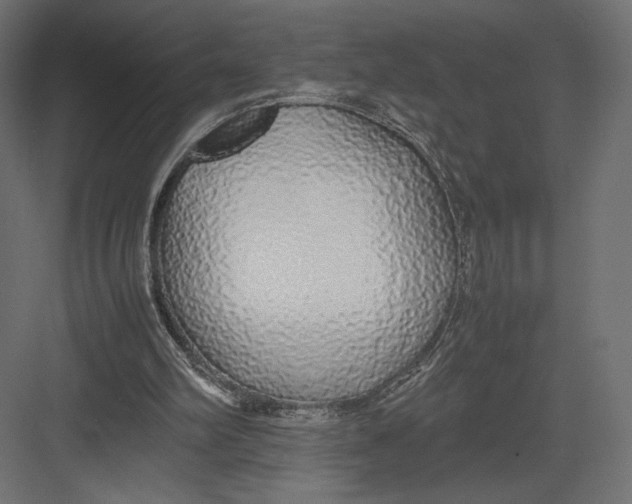 X0000082140102200702092135